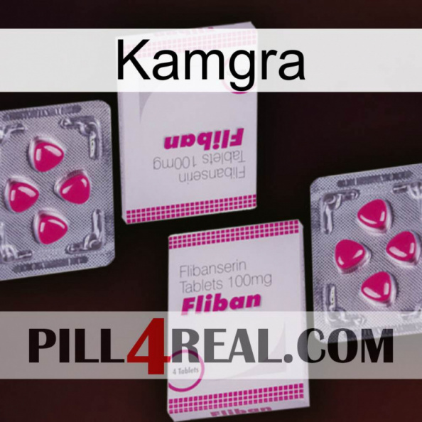 Kamgra 33